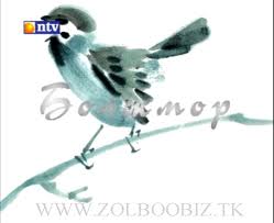 Нэгэн болжморын дууль